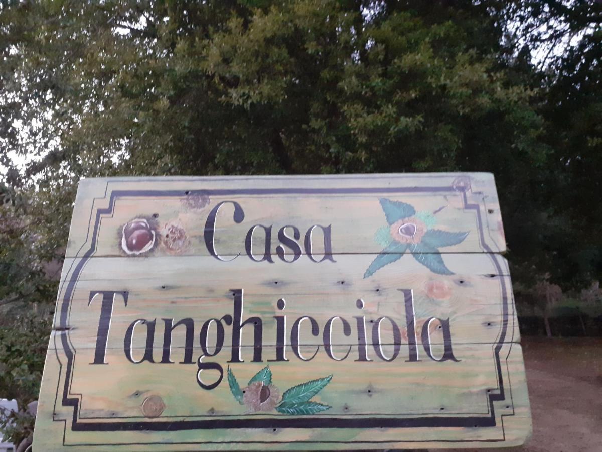 Casa Tanghicciola Apartment Levie Exterior foto